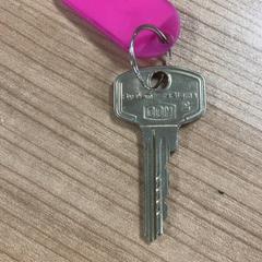 Key, as reported by Connexxion Amstelland-Meerlanden Schiphol Zuid using iLost