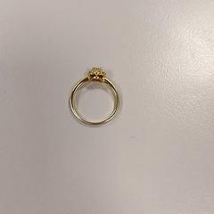 Ring, gemeldet von Vrije Universiteit Amsterdam über iLost