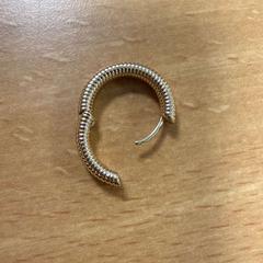 Náušnica goud, ako bolo nahlásené VITAZ campus Sint-Niklaas pomocou iLost