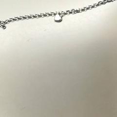 Bracelet, as reported by Burgers' Zoo using iLost