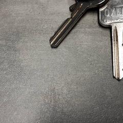 Nøkkelring Zilver, som rapportert av Arriva Friesland / Groningen ved bruk av iLost