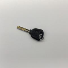 Fahrradschlüssel, gemeldet von Gemeente Weert über iLost