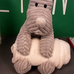 كنوفل، كما تم الإبلاغ عنه بواسطة Diergaarde Blijdorp عبر iLost