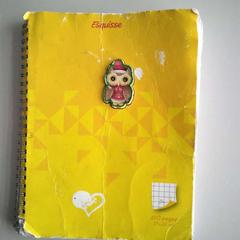 Cahier, a été signalé par Twisto utilisant iLost