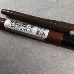 Makeup Bruin, as reported by Arriva Friesland / Groningen using iLost