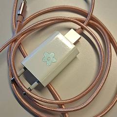 Carregador, segons ha informat Ziekenhuis Oost-Limburg mitjançant iLost