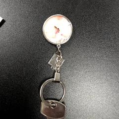 Llave Silca, ha sido reportado por Arriva Vechtdallijnen con iLost