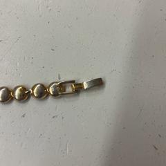 Pulseira, segundo informou Het Amsterdamse Winterparadijs usando iLost