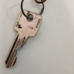 المفاتيح (متنوعة)، كما تم الإبلاغ عنه بواسطة allGo Almere عبر iLost