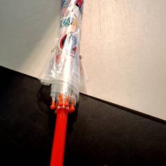 Parasol, zgłoszono przez IKEA Hénin-Beaumont przy użyciu iLost