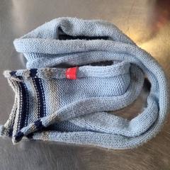 Xal Blauw, segons ha informat Burgers' Zoo mitjançant iLost