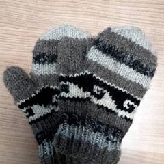 Kesztyű Bruin zwart wit, amint azt Transdev Hoeksche Waard Goeree Overflakkee az iLost segítségével jelentette.