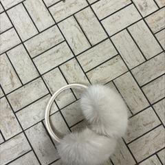 Oorwarmers, som rapportert av Regio Limburg - Leuven ved bruk av iLost