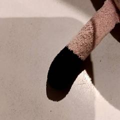 Knuffel, zoals gemeld door De Efteling met iLost