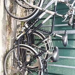 Dámsky bicykel altra, ako bolo nahlásené Stadswerk072 pomocou iLost