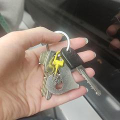 Sleutelbos, som rapportert til iLost