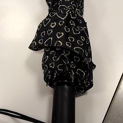 Deštník, jak nahlášeno Vrije Universiteit Amsterdam pomocí iLost