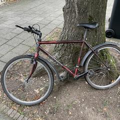 Rode mountainbike Insera がiLostに報告されました