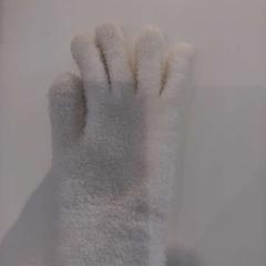 Glove, as reported by Arriva Limburg Zuid using iLost