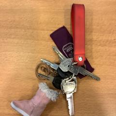 Sleutels, come riportato da Gemeente Amsterdam utilizzando iLost