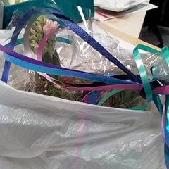 Bloemstukje, rapporterat av Qbuzz Fryslân med iLost