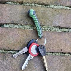 Sleutelbos, ha sido reportado a iLost