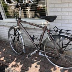 Gazelle fiets fuente, som rapporterats till iLost