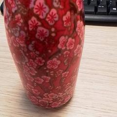 Dricksflaska Rood, rapporterat av Qbuzz Fryslân med iLost