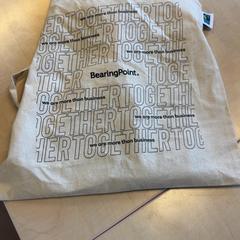 Linneväska, rapporterat av Blauwnet Zwolle med iLost