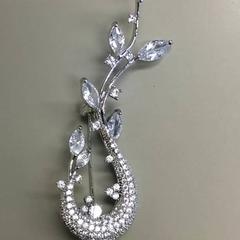 Broche Zilver, como reportado por Burgers' Zoo utilizando o iLost