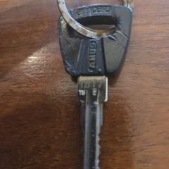 Fietssleutel, amint azt az iLostnak jelentették.