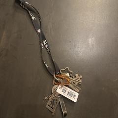 Sleutelbos, som rapporterats till iLost