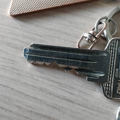 Nøkler, som rapportert av Centraal magazijn ved bruk av iLost