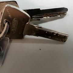 Chiavi, come riportato da Centraal magazijn utilizzando iLost