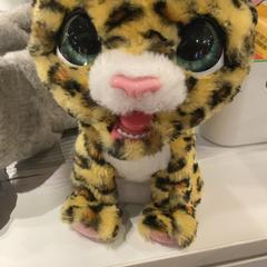 Toy & Knuffel, as reported by Pathé Delft using iLost