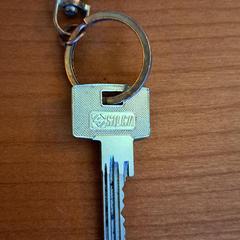 Sleutel, jak zgłoszono do iLost