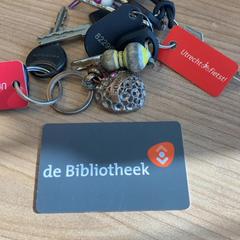 Brelok do kluczy, zgłoszono przez RRReis Veluwe Zuid - Apeldoorn przy użyciu iLost