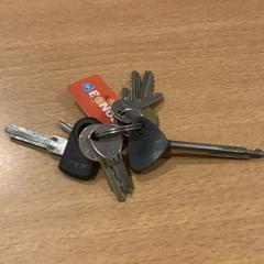 Claus sleutels, segons ha informat Gemeente Amsterdam mitjançant iLost