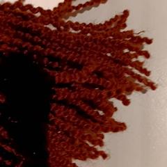 Knuffel, as reported by De Efteling using iLost