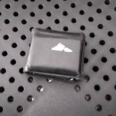 Wallet Ehlert, as reported by Arriva Infoshop Enschede using iLost