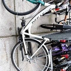 Bicicleta de senhora Pegasus, como reportado por Stadswerk072 utilizando o iLost