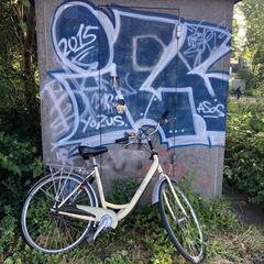 Fiets Libelle lichtgeel, segons s'ha informat a iLost