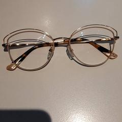 Glasses, as reported by Campus Den Haag using iLost