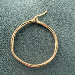 Gouden oorbel, como reportado ao iLost