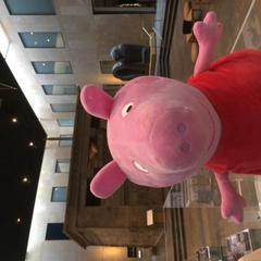 Knuffel، كما تم الإبلاغ عنه بواسطة Rijksmuseum van Oudheden عبر iLost