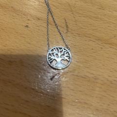 Pendant, as reported by Gemeente Gooise Meren using iLost