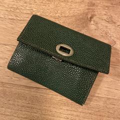 Groene portomonee, iLost에 보고됨