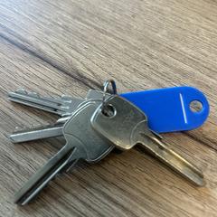 Sleutelbos, come riportato a iLost