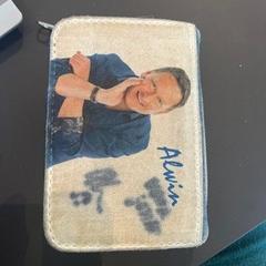 المحافظ LINS، كما تم الإبلاغ عنه بواسطة Regio West-Vlaanderen عبر iLost