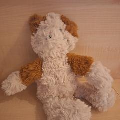 Knuffel poes, som rapporterats till iLost